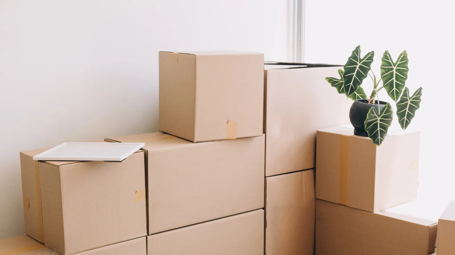 How to Prepare Your Home for a Smooth Move in Little Rock, AR.